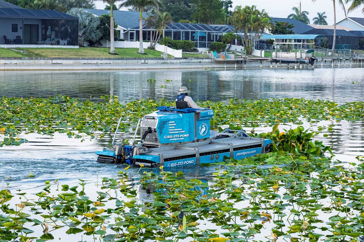 lake management franchise company